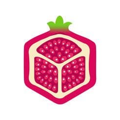 方石榴