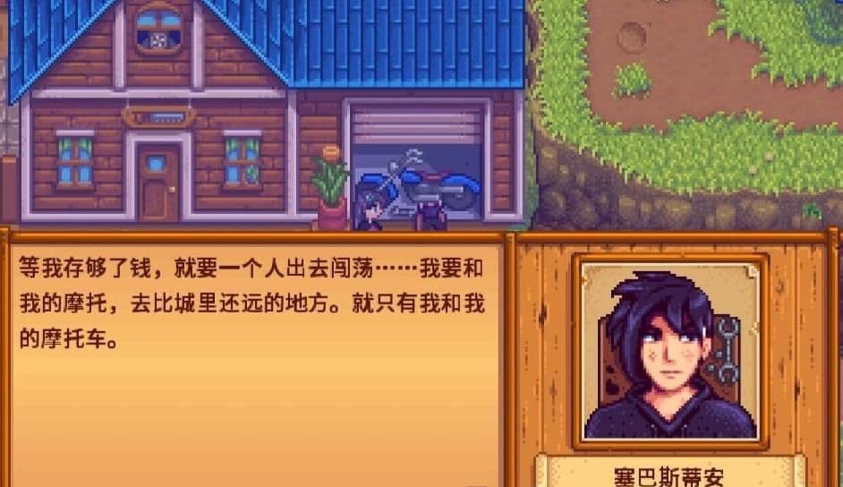 星露谷物语塞巴斯蒂安喜欢什么礼物