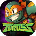 忍者龟归来果盘渠道服