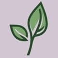 LeviLauncher下载_LeviLauncher基岩版光影加载器下载 v1.4.1安卓版