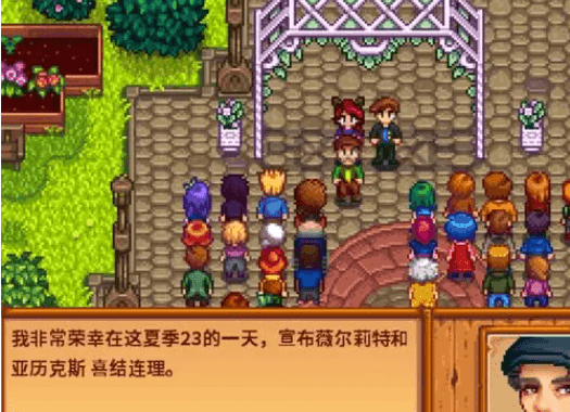 星露谷物语如何和亚历克斯结婚