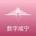 数字咸宁安卓版