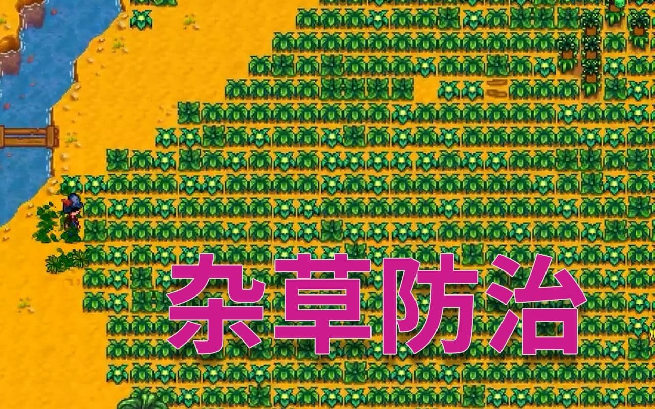 星露谷物语杂草有哪些特点
