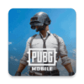 PUBG Mobile国际服安卓版