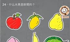 史小坑的烦恼3第24关怎么过 什么水果是断臂的
