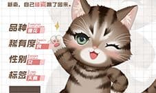 灵猫传狸闹闹怎么样 灵猫属性攻略