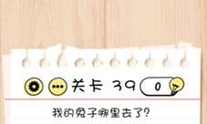 Brain Test第39关怎么过 我的兔子哪里去了通关攻略