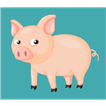 METV电视版安装包APK