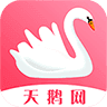 天鹅网