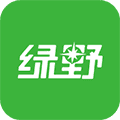 绿野app