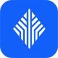 金千枝平台app