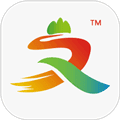 山东省文旅通app