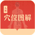 人体穴位图解app安卓版
