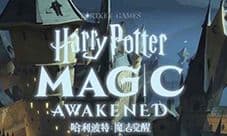 哈利波特魔法觉醒无期徒刑怎么做 成就完成攻略