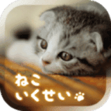 猫养成