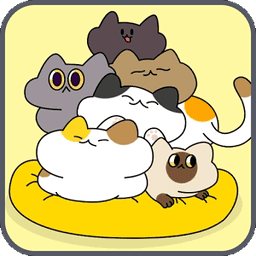毛团猫太郎