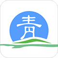 青松办