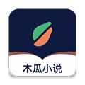 木瓜小说最新版