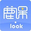 鹿课Lookapp