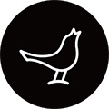 libratone app
