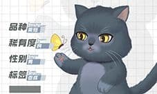灵猫传英蓝蓝怎么样 灵猫属性攻略