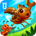 宝宝认蚂蚁安卓版