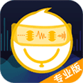 语聊音频变声器app