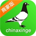 中国信鸽信息网商家版