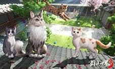 萌宠布偶可爱来袭 《剑侠世界3》新萌宠布偶猫上线