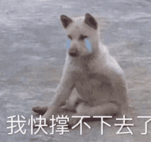 终于,我再次成了《推理学院》这条gai最靓的仔
