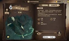 哈利波特魔法觉醒金卡哪个强 金卡强度排行