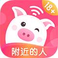 乖猪聊天交友app