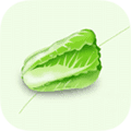 买菜来app