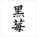 黑莓小说APP
