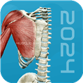 3D肌肉解剖app