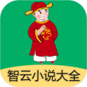 智云小说大全