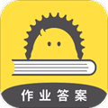 作业答案大全app