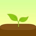 forest软件下载_forest专注森林app下载 v5.17.0中文官方版