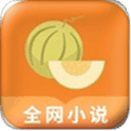 甜瓜小说阅读