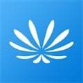 美移移民app