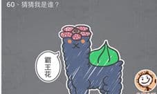史小坑的烦恼3第60关怎么过 猜猜我是谁霸王花羊驼