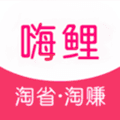 嗨鲤淘淘app