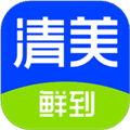 清美鲜达安卓版