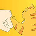 友猫最新版