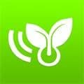 小棠菜旅行app