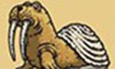 黑暗料理王海象拔蚌兽图鉴 海象拔蚌兽怪物攻略详解