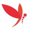 蜻蜓主播app