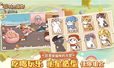 猫特兰蒂斯人物好感度提升攻略 npc喜欢什么礼物