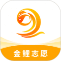 金鲤志愿app