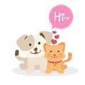 人猫人狗动物翻译器app